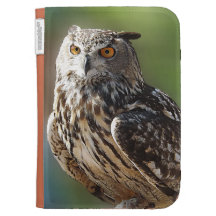 Stunning Eagle Owl with Orange Eyes Kindle Keyboard Covers