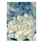 Stunning Georgia O'Keefe White Rose and Larkspur Postcard