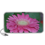 stunning gerbera flower speakers speakers