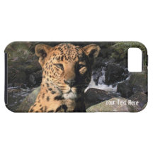 Stunning Leopard - Beautiful Waterfall Background iPhone 5 Covers