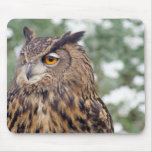 stunning owl mousepad
