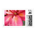 Stunning Pink Flower postage
