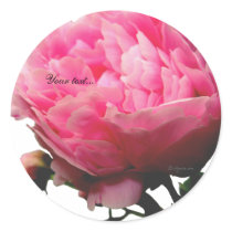 Stunning Pink Peony Custom Envelope Seals stickers