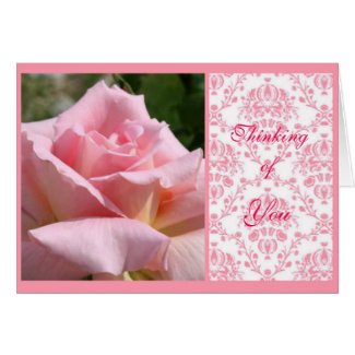 Stunning Pink Rose & Damask Thinking of You Greeting Card