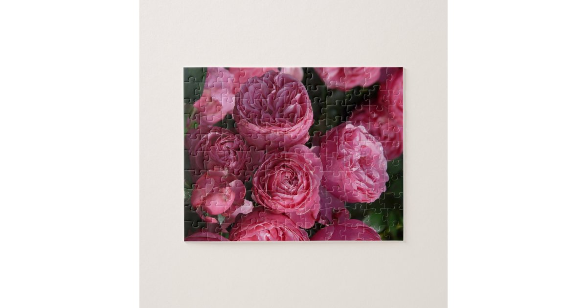 Stunning Pink Roses Jigsaw Puzzle Zazzle