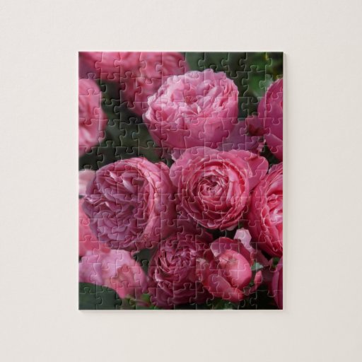 Stunning Pink Roses Jigsaw Puzzle Zazzle