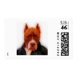 Stunning Pit Stamps