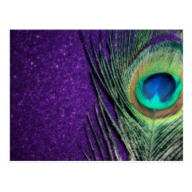 Stunning Purple Peacock Postcards