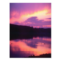 Stunning, purple sunrise reflected in water, post  postcard