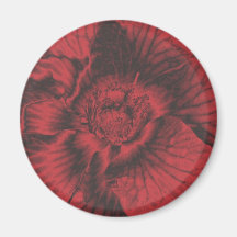 Stunning Red Flower Magnet