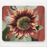 stunning sunflower mouse pad mousepads