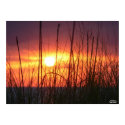 Stunning Sunset Poster posters