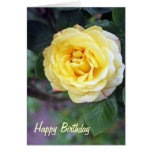 stunning yellow rose birthday card cards