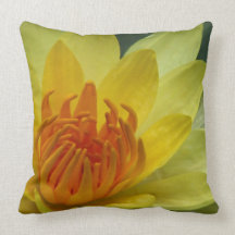 Stunning yellow water lily pillow