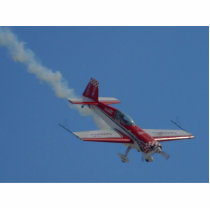 Stunt Plane photo sculptures