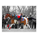 Stunt Riding Post Cards
