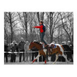 Stunt Riding Post Cards