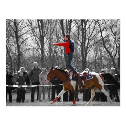 Stunt Riding Post Cards