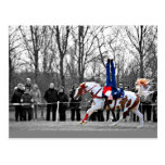 Stunt Riding Post Cards