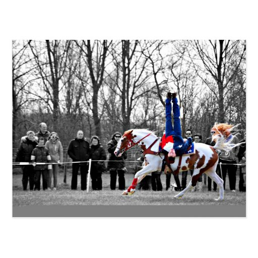 Stunt Riding Post Cards