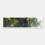 Stunted Growth Bumper Sticker