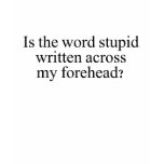 Stupid Across My Forehead Judge T-Shirt