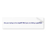 Stupid Bumper Sticker