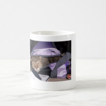 stupid cat mugs