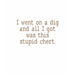 Stupid Chert Shirt