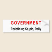 Stupid Government