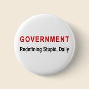 Stupid Government