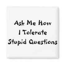 Stupid Questions magnets