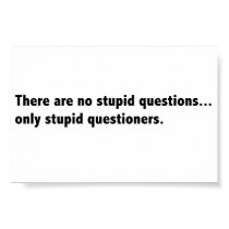 Stupid questions poster posters