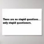 Stupid questions poster posters