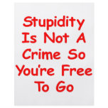 Stupidity Is Not A Crime So You're Free To Go Full Color Flyer