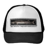 Sturgeon Cap - White Sturgeon Border Trucker Hats