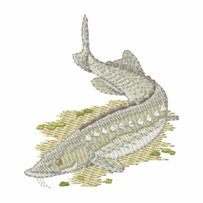 Sturgeon Sturgeon