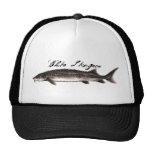 Sturgeon Hat - White Sturgeon1