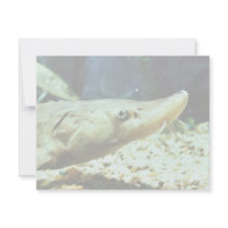Sturgeon invitations