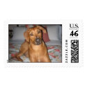 Sturgis postage