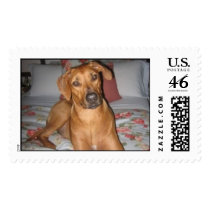 Sturgis postage by cliffjill Sturgis postage