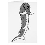 Sturgy Gray Card