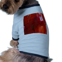 Sturt Desert Pea Flower pet clothing by sharonsphotography Sturt Desert Pea Flower pet clothing