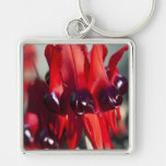 Sturt Desert Pea Keychain