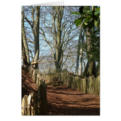 Styal Woods Greeting Card by peterspooner