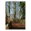 Styal Woods cards by peterspooner Styal Woods cards
