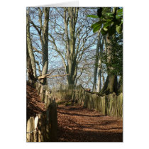 Styal Woods cards