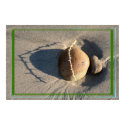 style of beach life posters