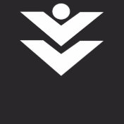 stylelogo
