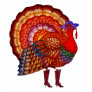 Styling Turkey Tshirt